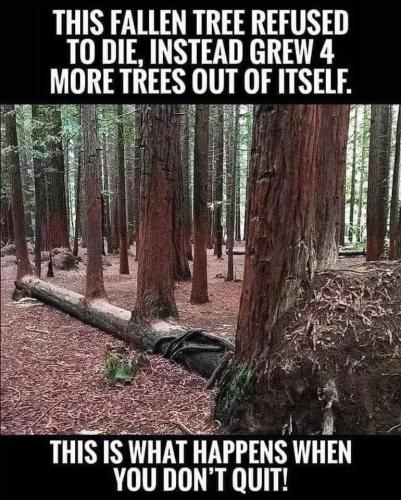 13:35:30 GMT-0400 (EDT)