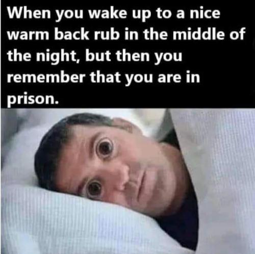 FB_IMG_1678686344295