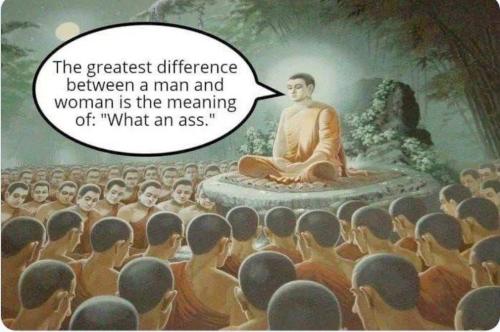 335126825_1447352222464984_5661039949429263533_n