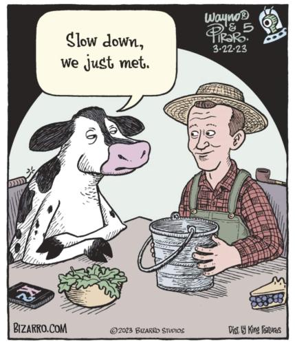 FB_IMG_1679682454587