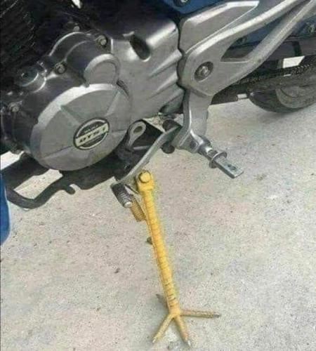 FB_IMG_1679496865197