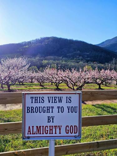 IMG_20230317_003647_740