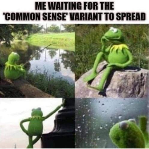 FB_IMG_1679283279801