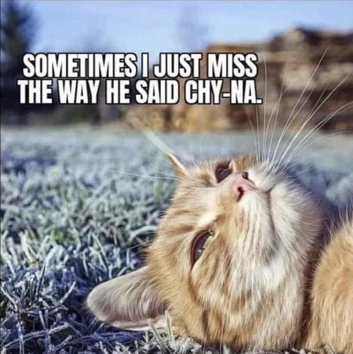 photo_2023-03-24_00-22-03