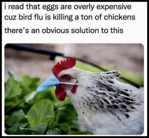 tumblr_862a1f9ceab273607a84ddc3c59d0017_0b273676_540