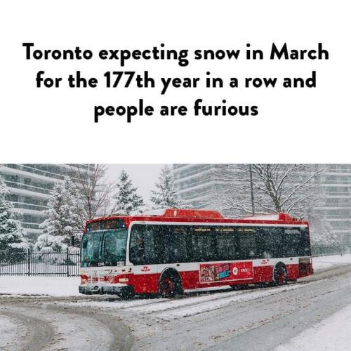 snow inToronto