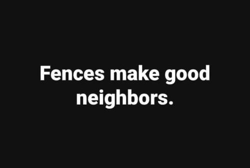 FB_IMG_1679703703048