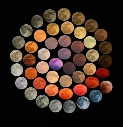 10 year moon pic