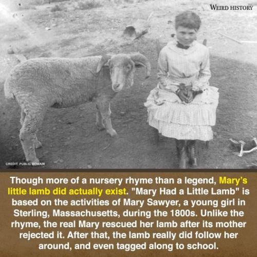 333806184_772900670498820_8350429146420627048_n