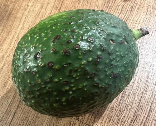 09:09:30 GMT-0500 (Central Daylight Time).image