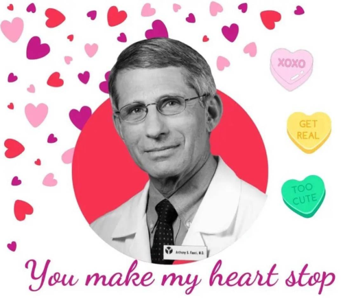 334508645_716964256738894_5696302778178271528_n