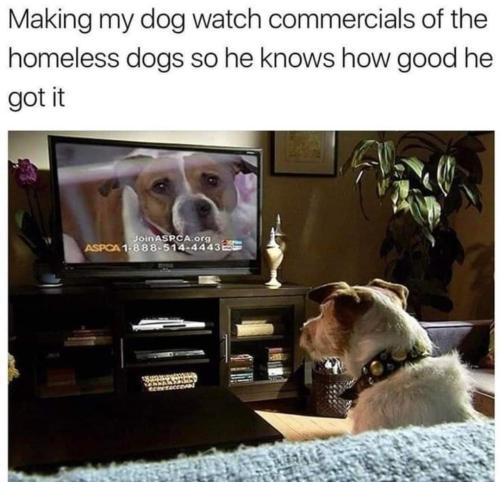 FB_IMG_1678651270761