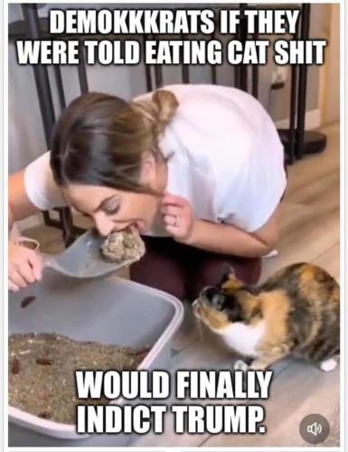 FB_IMG_1679981622174