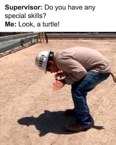 FB_IMG_1680210333849