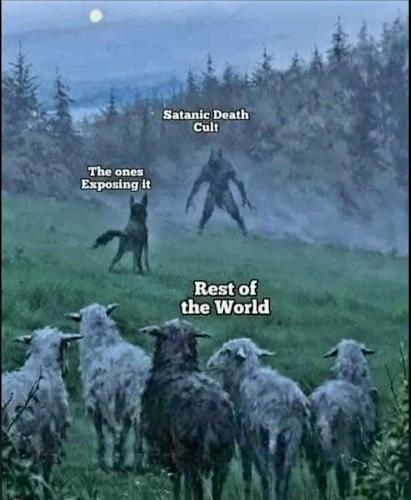 Screenshot_20230324_163815_Chrome