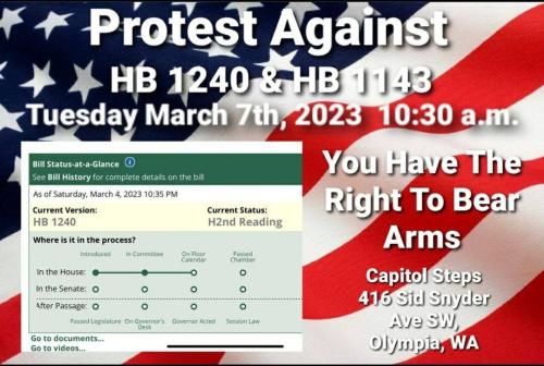 Olympia, Washington - March 7, 2023 - Protest