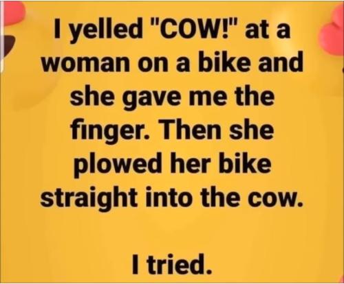 cow