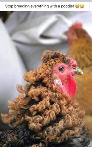 stop breading everything