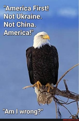 America First 3