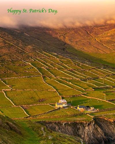 336749375_532152095492413_1069149593773963504_n