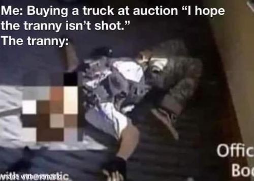 FB_IMG_1680109801656