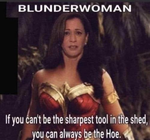 FB_IMG_1679019524685