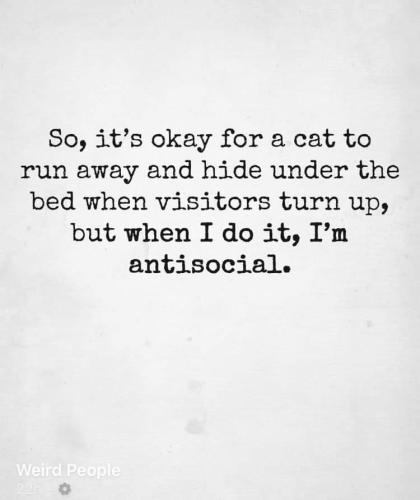 hide under the bed