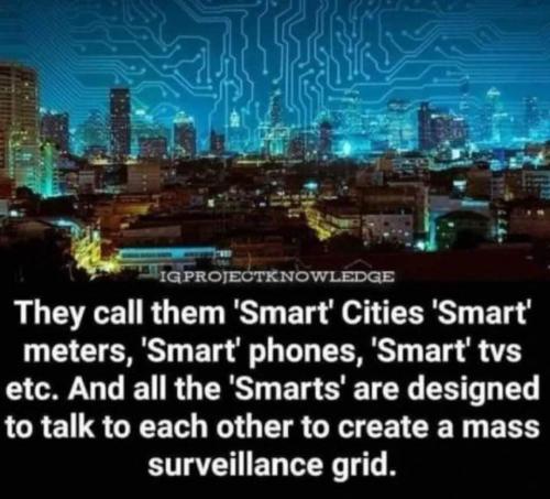 Smarts 1