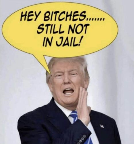 FB_IMG_1679540195639