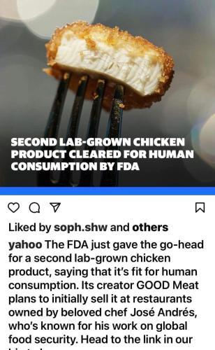 lab grown chicken