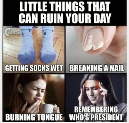 337129981_993479534974343_1371362843328383252_n