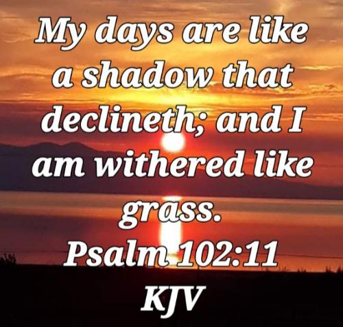 19:44:29 GMT-0700 (PDT)