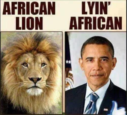 Screenshot_20230307_172122_Chrome