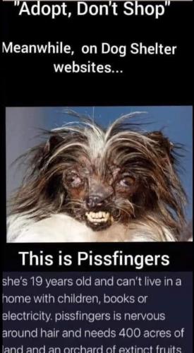 FB_IMG_1679497564460