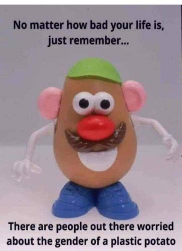 FB_IMG_1678309429319