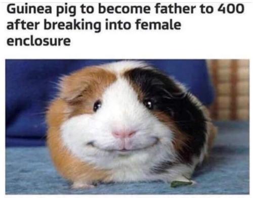 FB_IMG_1678208734867