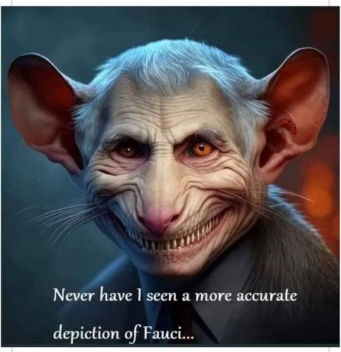 FB_IMG_1679019778105