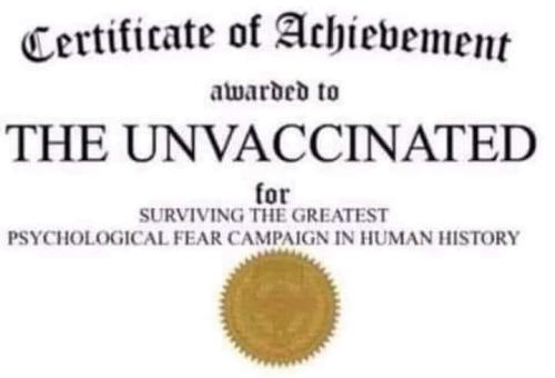 FB_IMG_1674840024962