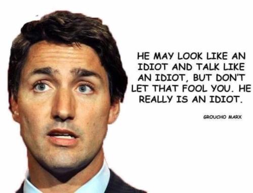 Justin Trudeau 81 -idiot