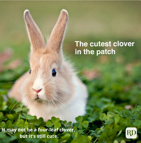 Screenshot_2023-02-25-13-43-11_kindlephoto-7888610