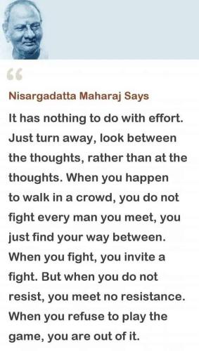 3-MonthSupply_728x90