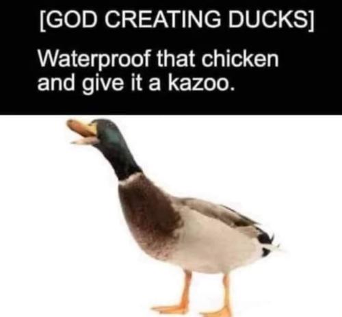 FB_IMG_1678511505337