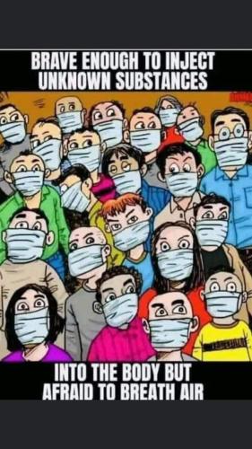 FB_IMG_1678846300414