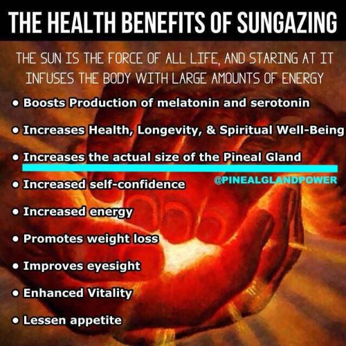 IMG_20230314_055546_000