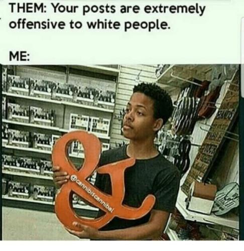 FB_IMG_1680127985433