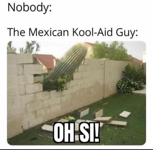 mexican koolaid guy