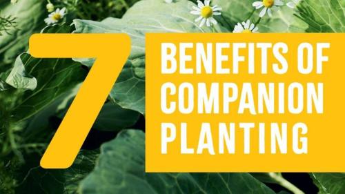 IMG_20230308_183946_753