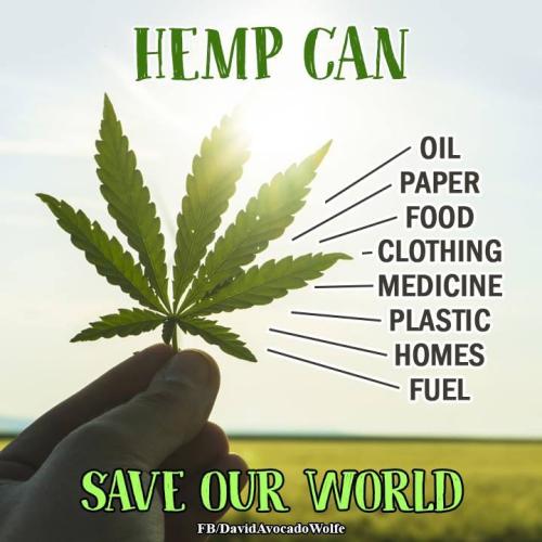 IMG_20230301_164835_918