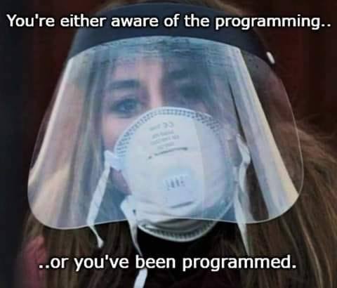 Programming 1
