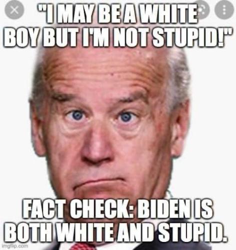 FB_IMG_1677774569693